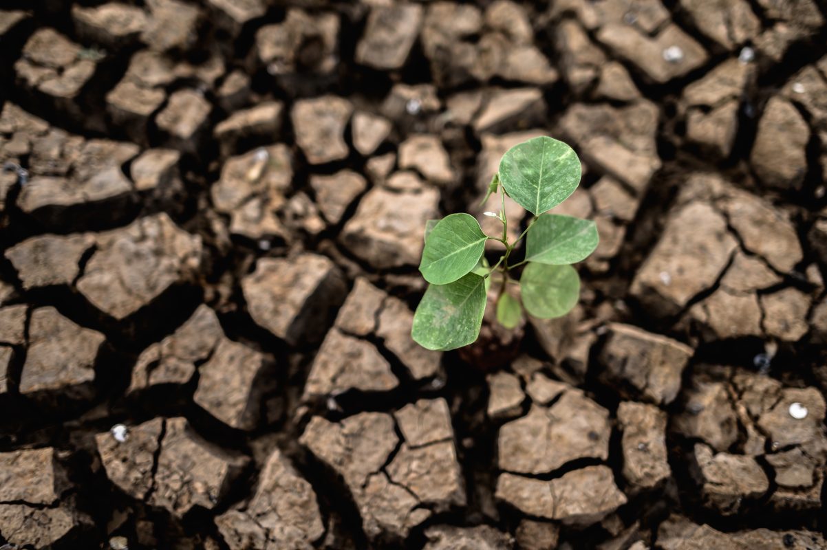 Infrastrutture idriche e cambiamento climatico: una sfida da affrontare insieme